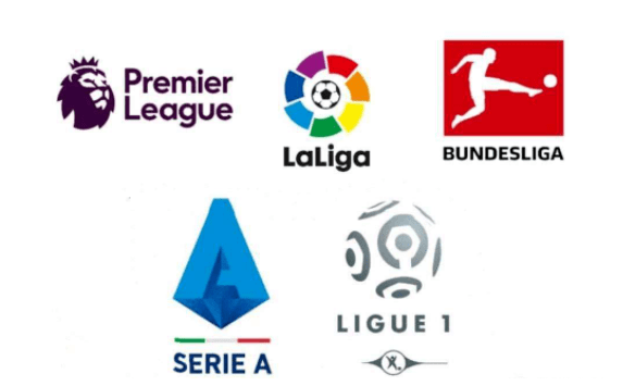 也应该给予 也应该给予